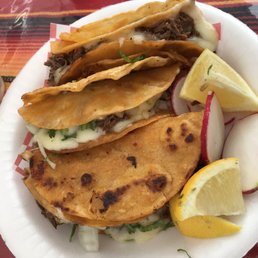 Birria tacos Birria tacos