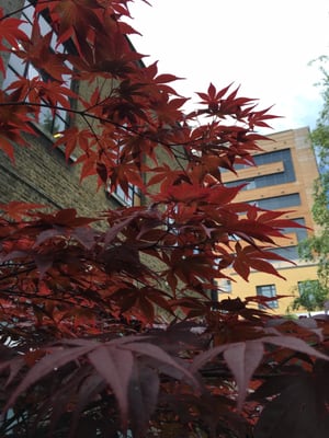 Victoria Miro by null