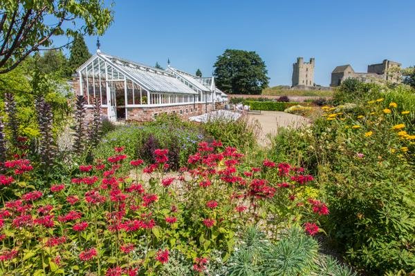 The Vinehouse Cafe at Helmsley walled Garden by null
