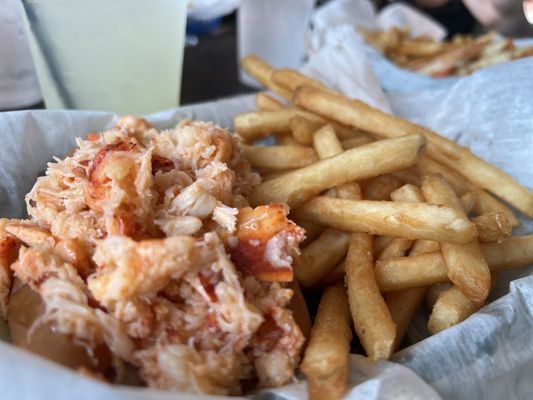 The Lobster Shanty by null