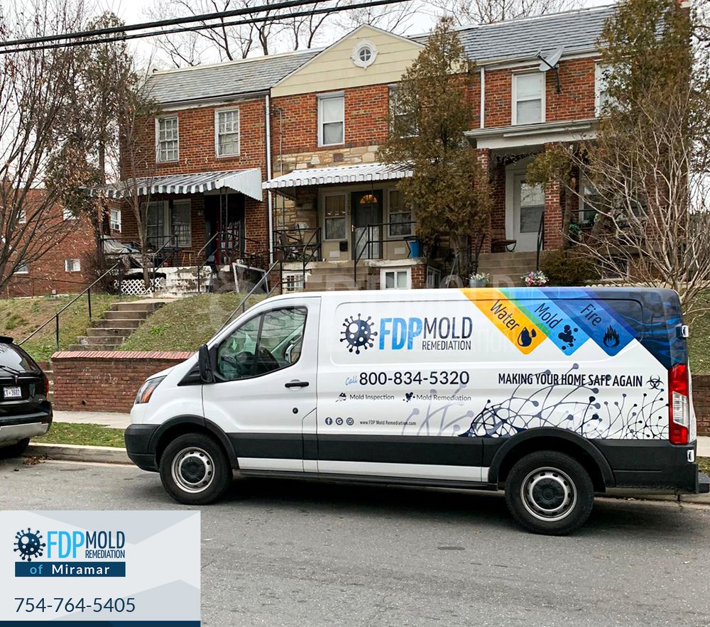 FDP Mold Remediation of Miramar - mold inspector in Miramar, FL