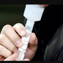 One Stop Mobile Phlebotomy - Saliva PCR testing, results are within 24 to 48 hours.
