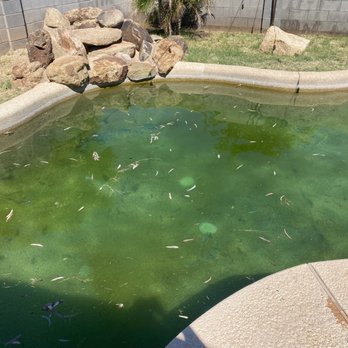 Pool Troopers - Pool Cleaners Near Me