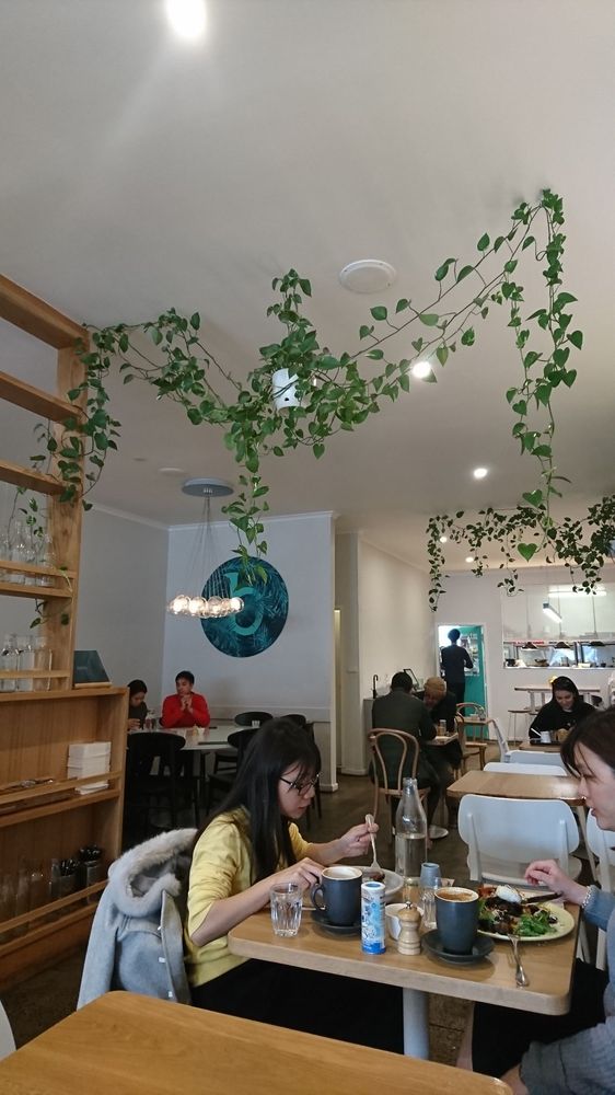 BOB’S YOUR UNCLE Updated October 2024 38 Jackson Ct, Doncaster East