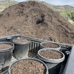 Mountain Meadow Mushrooms - Free mushroom compost