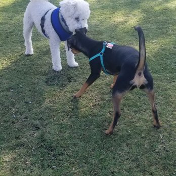 Hound Town Dog Park - Dog Parks Near Me - Moreno Valley, California