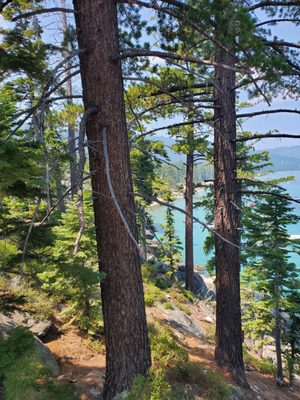 D. L. Bliss State Park by null