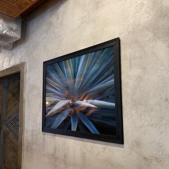 El Cerro - a picture of a plant on a wall - Mexican Near Me - Georgetown, South Carolina El Cerro - a picture of a plant on a wall - Mexican Near Me - Georgetown, South Carolina