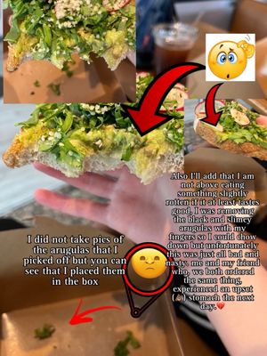 Pacha Collective by null