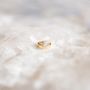 Angel Jewelers
