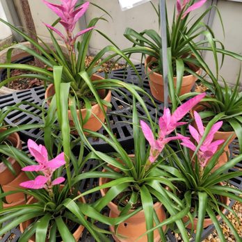Atlantic Gardening Company - Nurseries & Gardening Near Me - Raleigh, North Carolina