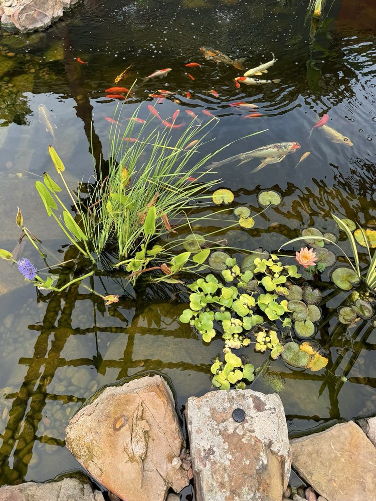 Social spots from Garden Ponds Unlimited