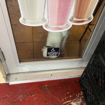 Lass Cuban Cafe - Dog inside the restaurant - Cuban Near Me - Miami Gardens, Florida