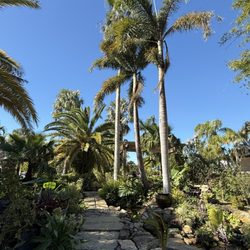Terra Nova Nursery & Gardens