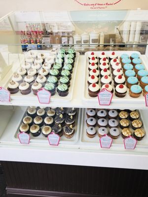 The Cocoa Bean- Bakery, Drinks, Ice Cream