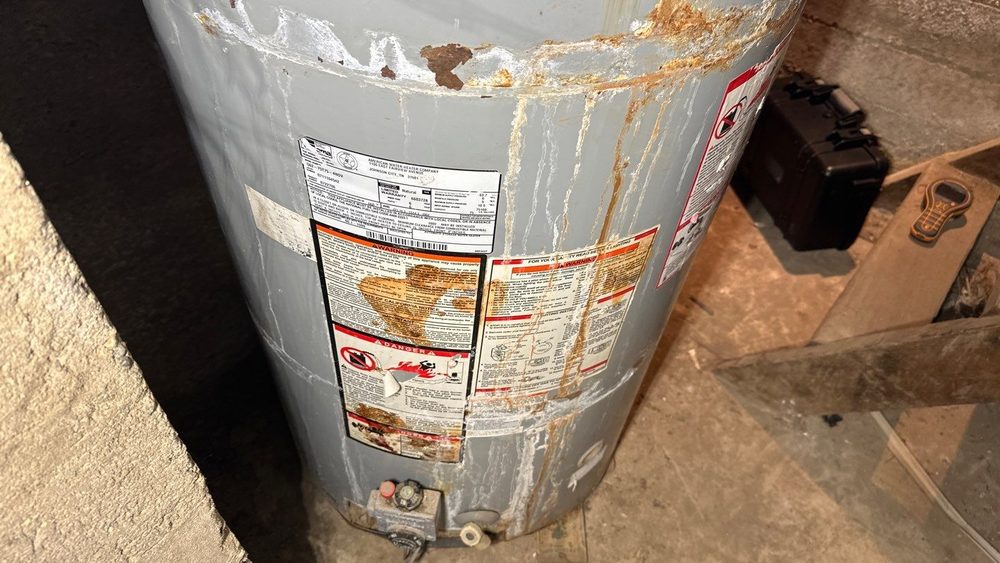 The Mold Inspection Canary  - mold inspector in Santa Monica, CA