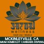Photo of Satori wellness