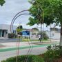 Photo of 13th Street Art Exhibits