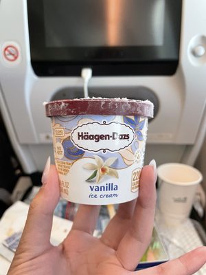 All Nippon Airways by null