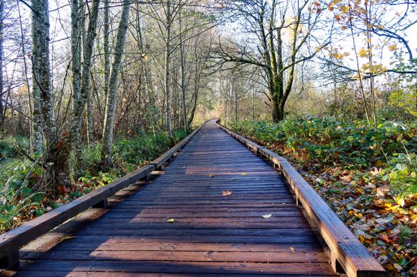 Billy Frank Jr. Nisqually National Wildlife Refuge by null