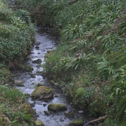 Enbrook Park