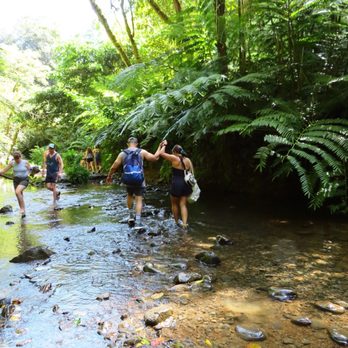 Twin Falls Trail - Hiking Near Me - Haiku, Hawaii