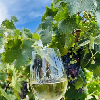 The Restaurant at Avensole Winery - White wine in the vineyards August 2022 - Venues & Event Spaces Near Me - Temecula, California