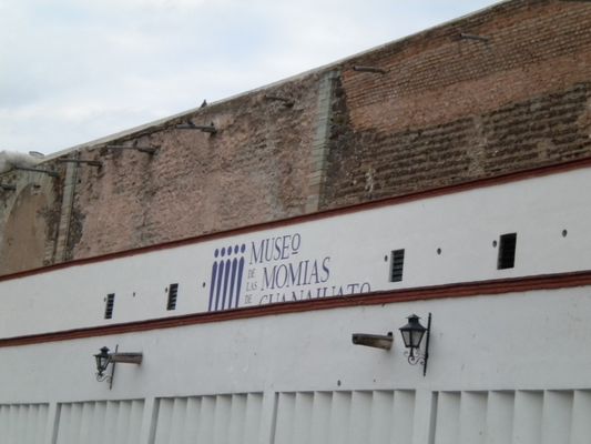 Museum of the Mummies of Guanajuato by null