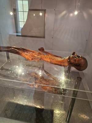 Vonderau Museum by null