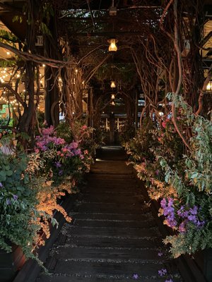 Gallow Green by null