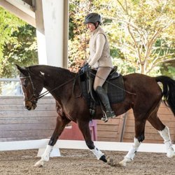 English Rose Farm - Valley Oaks  Mounted Biomechanics Clinic