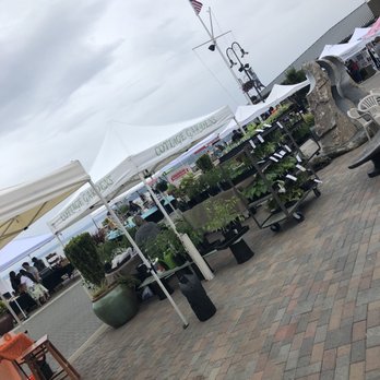 Point Ruston Farmers Market - Farmers Market Near Me - Tacoma, Washington Point Ruston Farmers Market - Farmers Market Near Me - Tacoma, Washington