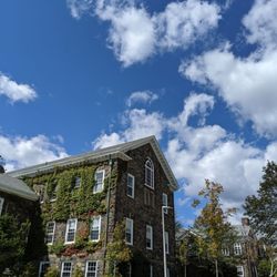 Dalhousie University