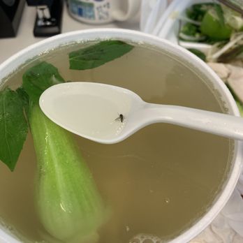 Pho Viet 2 - Wonton soup with fly - Vietnamese Near Me - Sacramento, California