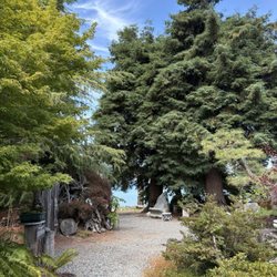 Elandan Gardens And Gallery