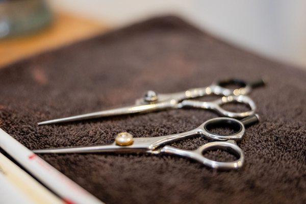 TODD’S: A HAIR SALON - Updated December 2024 - 38 Photos & 20 Reviews