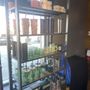 Photo of Starbucks