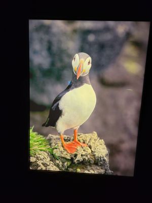 National Aquarium by null
