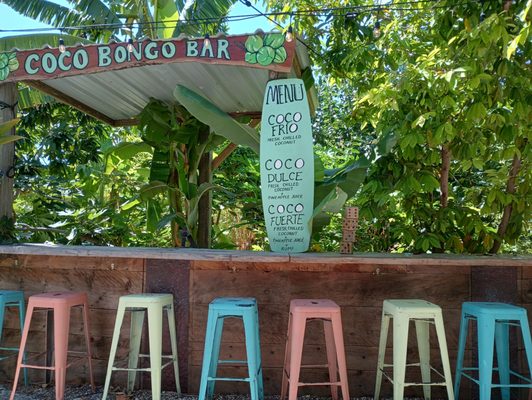 Bongo's Botanical Beer Garden and Cafe by null