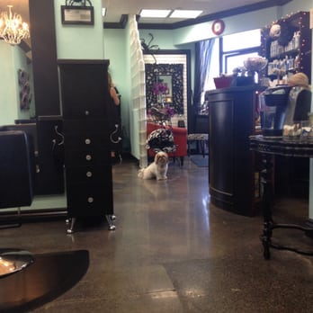 Cody Rose Salon - Their salon dog  he was so freaking cute and friendly!!! I wanted to take him home with me! - Hair Salons Near Me - Irvine, California
