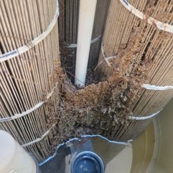 SAL MUNOZ - Request a Quote - 18 Photos - Pool Cleaners - El Mirage, AZ