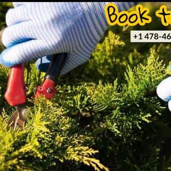 Goolsbys Lawn Care - Where every cut creates beauty.
Call us today for free estimates! - Lawn Services Near Me Goolsbys Lawn Care - Where every cut creates beauty.
Call us today for free estimates! - Lawn Services Near Me
