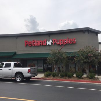 Petland Kennesaw - Pet Stores Near Me - Kennesaw, Georgia Petland Kennesaw - Pet Stores Near Me - Kennesaw, Georgia