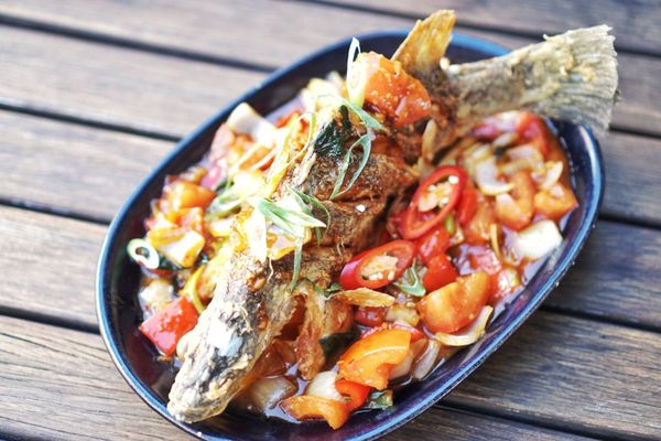 14/69 Mitchell St by null