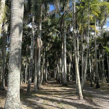 Peaceful Ridge Dog Park - Dog Parks Near Me - Davie, Florida Peaceful Ridge Dog Park - Dog Parks Near Me - Davie, Florida