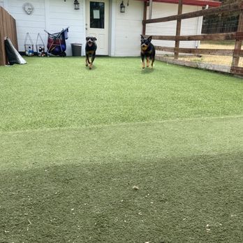 Wunderbar's Pet Hotel - Pet Boarding Near Me - Walnut Creek, California Wunderbar's Pet Hotel - Pet Boarding Near Me - Walnut Creek, California