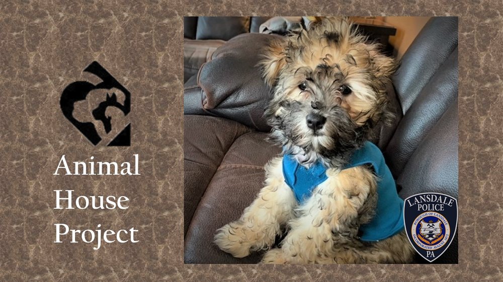 Animal House Project - social services organization in Pottstown, PA