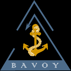 BAVOY Mental Health Counseling - BAVOY. Anchored to hope, Open to change, Moving forward.