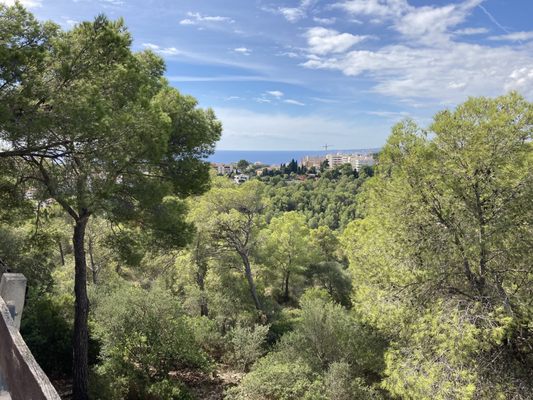 Castillo de Bellver by null