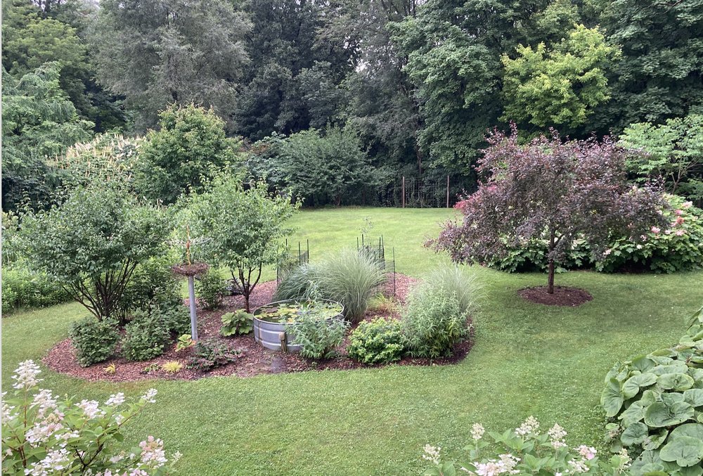 Clover Lawn & Landscape - tree service in Rochester, NY